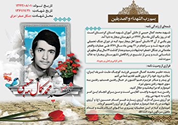 آرزوی شهادت در وصیتنامه شهید «محمد کمال حبیبی»