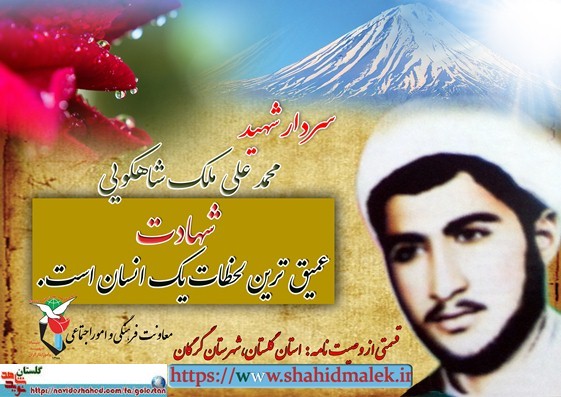 دفتر خاطرات شهید 
