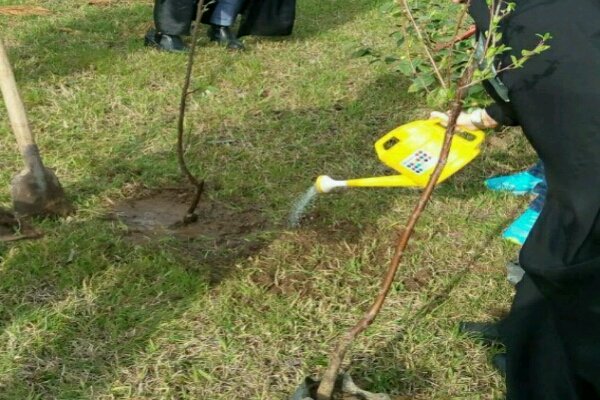 جشن تولد شهدای متولد اسفند همزمان با روز درختکاری برگزار میشود جشن تولد شهدای متولد اسفند همزمان با روز درختکاری برگزار میشود