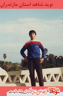 گذرى بر زندگى شهيد حسين مروتى