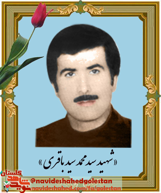 زندگی نامه «شهید سيد محمد سيد باقري»