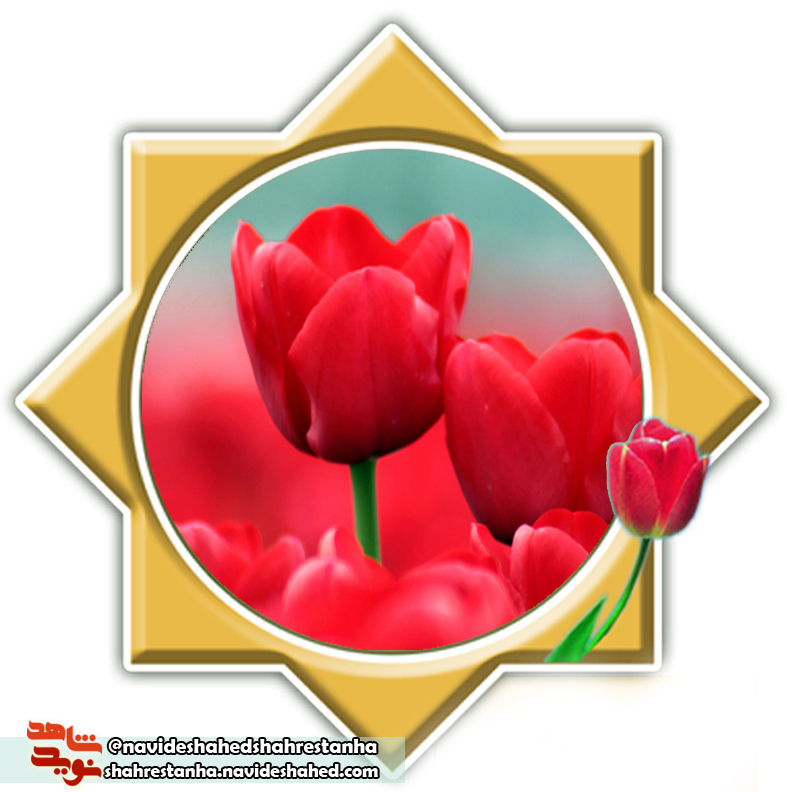 اسناد فرهنگی/ حالم خیلی خیلی خوب است اسناد فرهنگی/ حالم خیلی خیلی خوب است