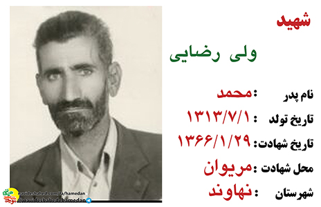 عزت و شرف ما در گرو همين جنگ است