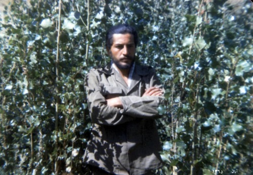 سیصدوچهل و چهارمین شهید حج 66/ فرزندش مفقودالجسد بود سیصدوچهل و چهارمین شهید حج 66/ فرزندش مفقودالجسد بود