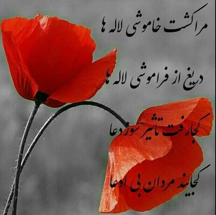 به شوق فتح «حلب» به شوق فتح «حلب»