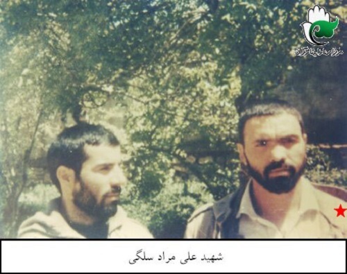 شهید 