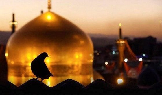 عرض ارادت شهیدان به ساحت مقدس امام رضا(ع) عرض ارادت شهیدان به ساحت مقدس امام رضا(ع)