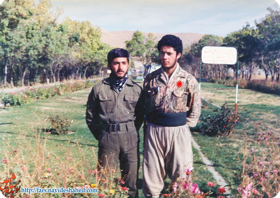 بشارت یک نور