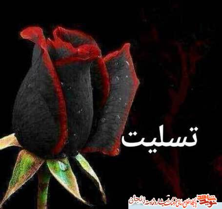 مادر شهید 