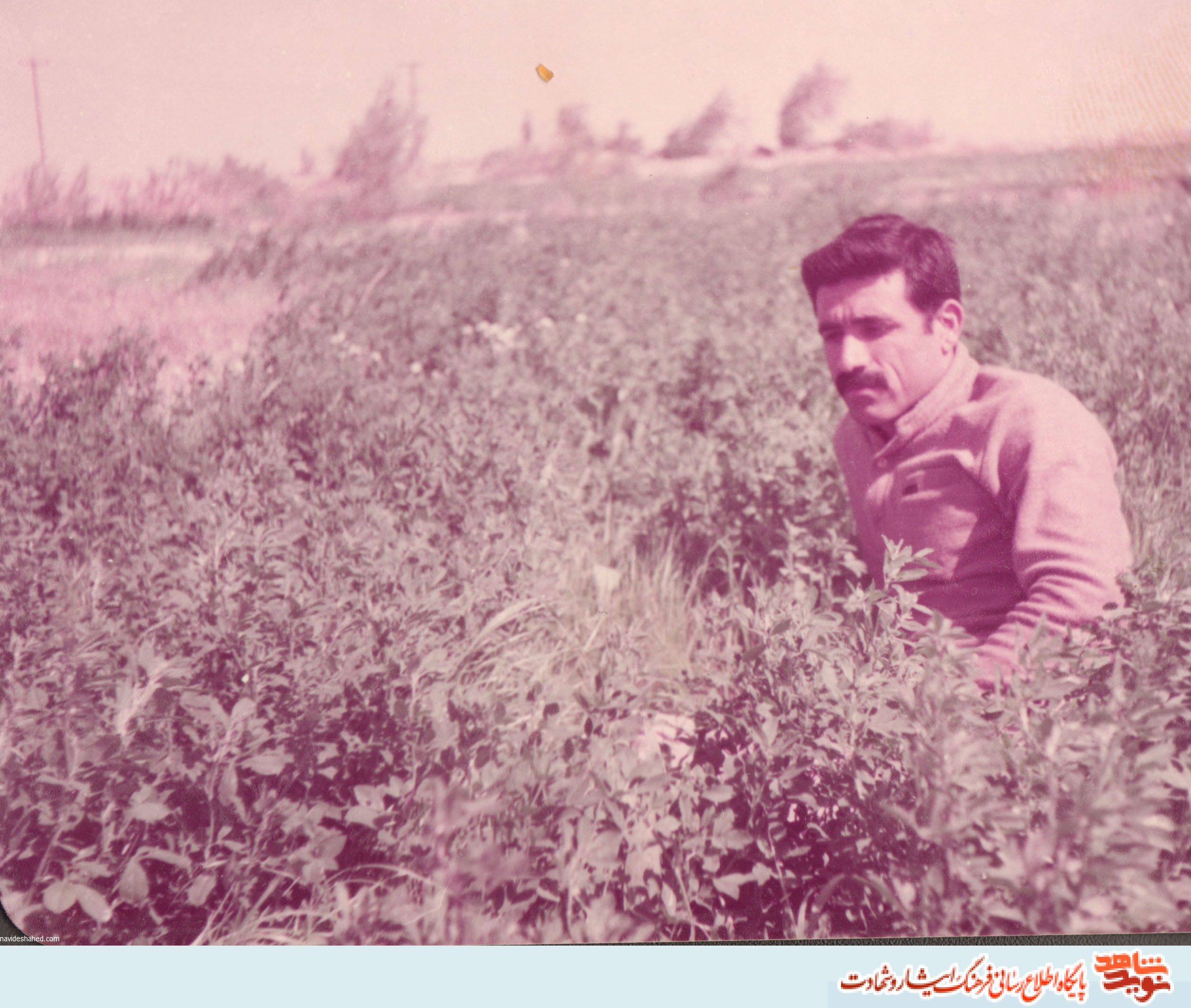 آلبوم تصاویر شهید«محمد باستانی» منتشر شد