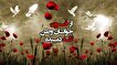 معرفی شهدای هفته آخر اردیبهشت ماه استان زنجان