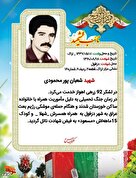 ادای دین به قهرمانان وطن؛ انتشار ماهانه عکس‌نوشت وصایای شهدا در استان مرکزی...
