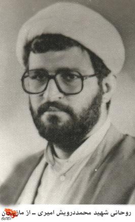 تصاویر به جا مانده از شهید «محمد درویش امیری»