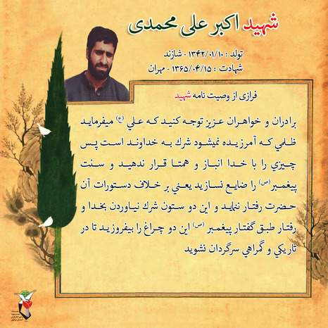 شهید اکبر علی محمدی