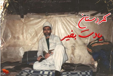 سردار شهید سید مرتضی هاشمی فرزند سید هاشم
